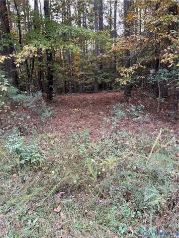 $300,000 | 10565 Continental Road, Quinton, VA 23141