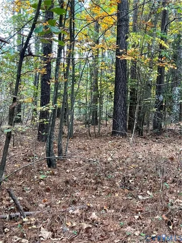 a view of outdoor space with trees
