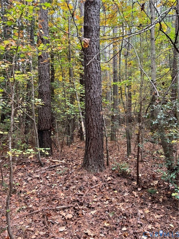 10565 Continental Road Quinton, VA 23141 - Photo 3 of 19 a backyard of a house with lots of green space