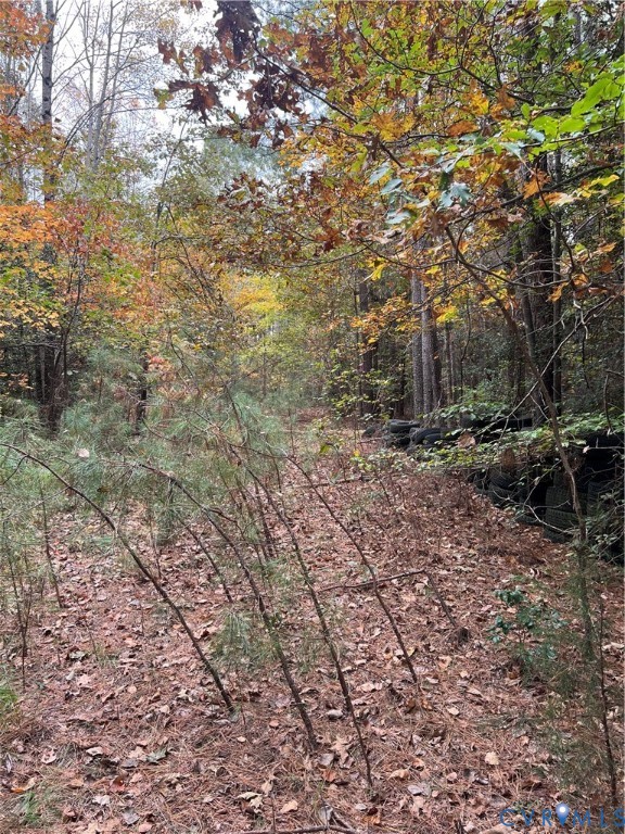 10565 Continental Road Quinton, VA 23141 - Photo 4 of 19 a backyard of a house with lots of green space