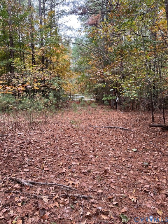 10565 Continental Road Quinton, VA 23141 - Photo 5 of 19 a view of a yard with plants and trees