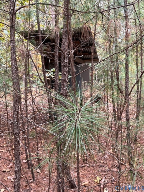 10565 Continental Road Quinton, VA 23141 - Photo 7 of 19