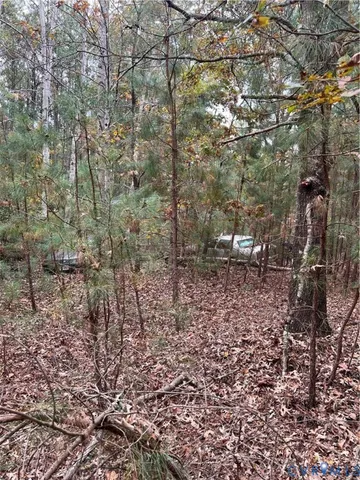 a view of a yard with plants and trees