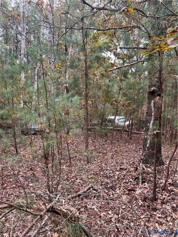 10565 Continental Road Quinton, VA 23141 - Photo 8 of 19 a view of a yard with large trees