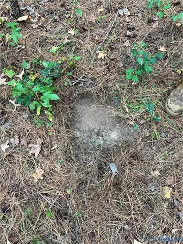 a big yard with lots of green space and deers