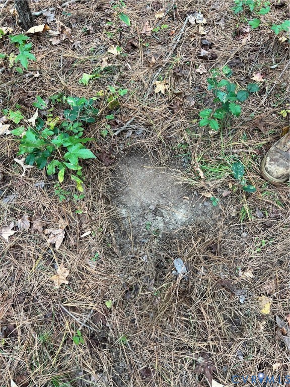 10565 Continental Road Quinton, VA 23141 - Photo 10 of 19 a view of a yard with a tree