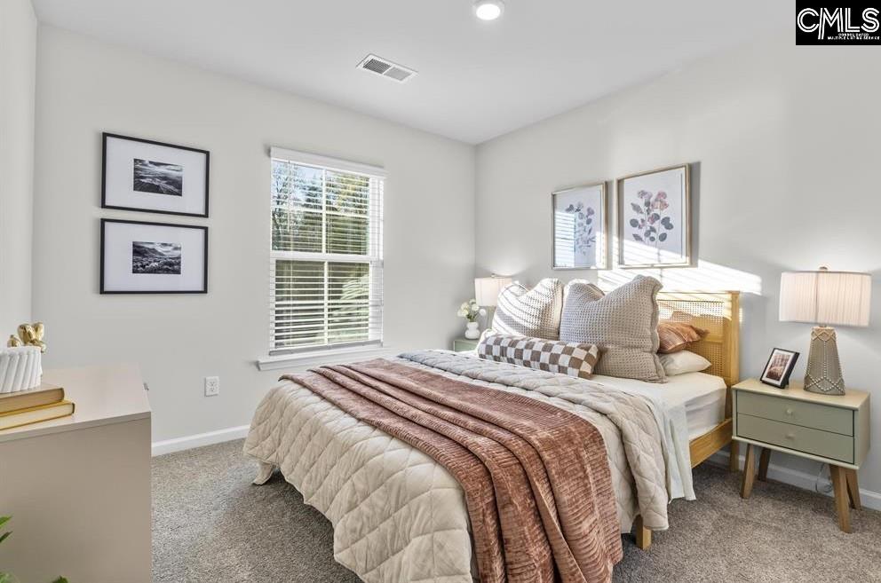 114 New Spring Way Columbia, SC 29223 - Photo 21 of 27 Gallery Image 21