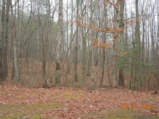 $273,000 | 966 Cox Road, Sequatchie, TN 37374