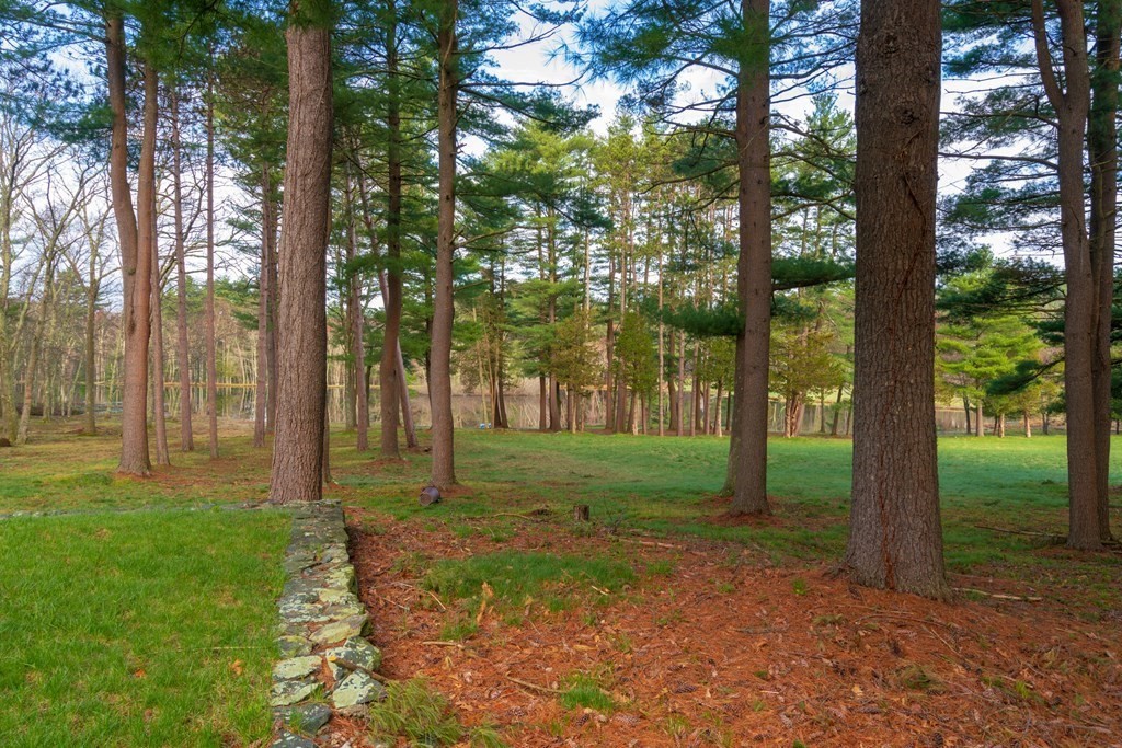 68 Farm Street Dover, MA 02030 - Photo 8 of 13