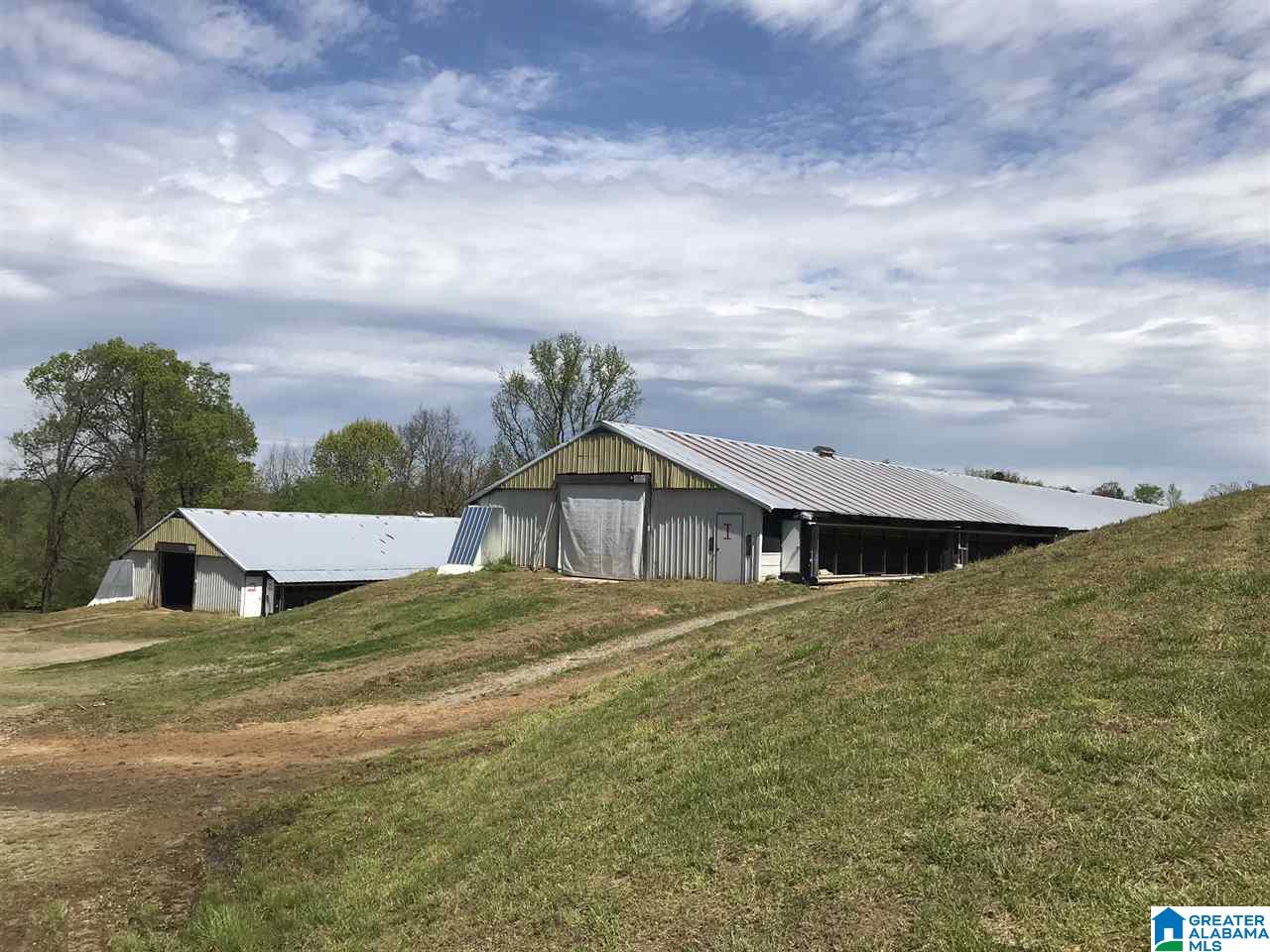 1241 Reneau Road Oneonta, AL 35121 - Photo 43 of 50