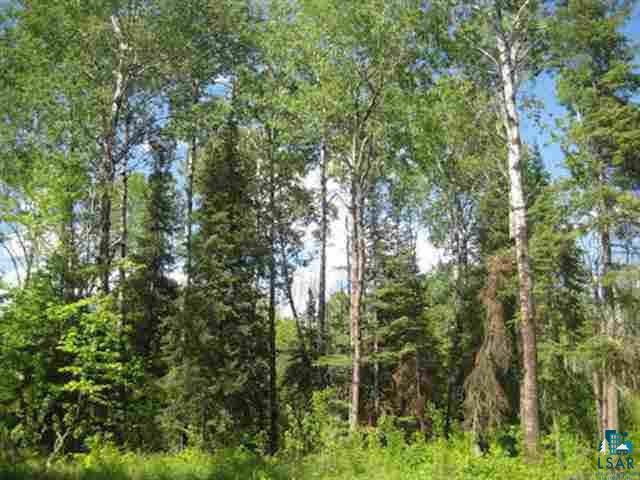1095 Fernberg Road Ely, MN 55731 - Photo 1 of 7