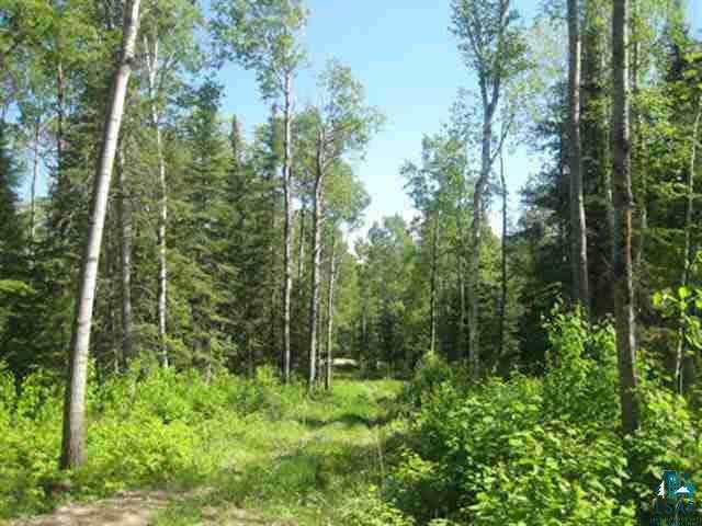 1095 Fernberg Road Ely, MN 55731 - Photo 2 of 7