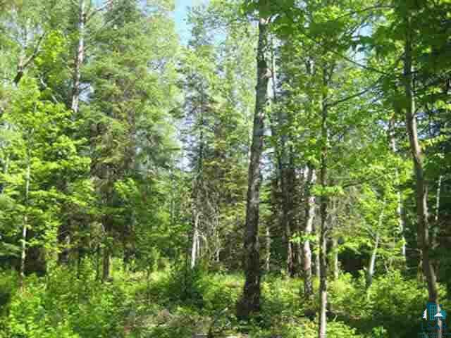 1095 Fernberg Road Ely, MN 55731 - Photo 3 of 7