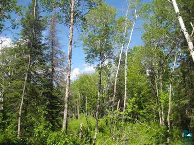 1095 Fernberg Road Ely, MN 55731 - Photo 4 of 7
