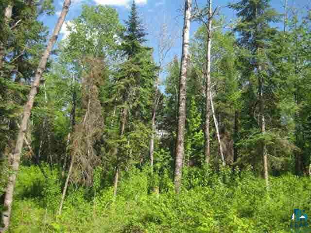1095 Fernberg Road Ely, MN 55731 - Photo 5 of 7