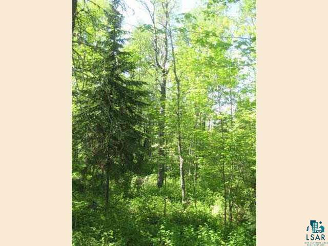 1095 Fernberg Road Ely, MN 55731 - Photo 7 of 7