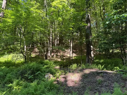 $21,900 | 0 Walhalla Court, Ellijay, GA 30540