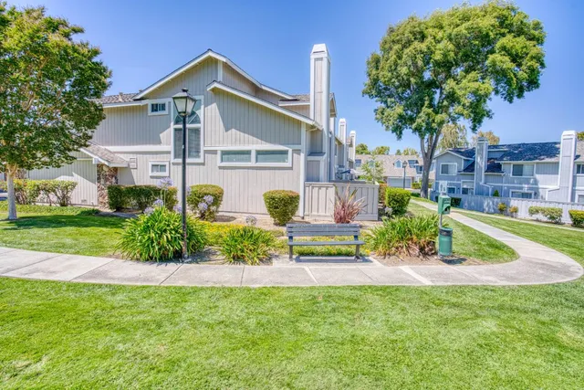a view of a field with of trees
