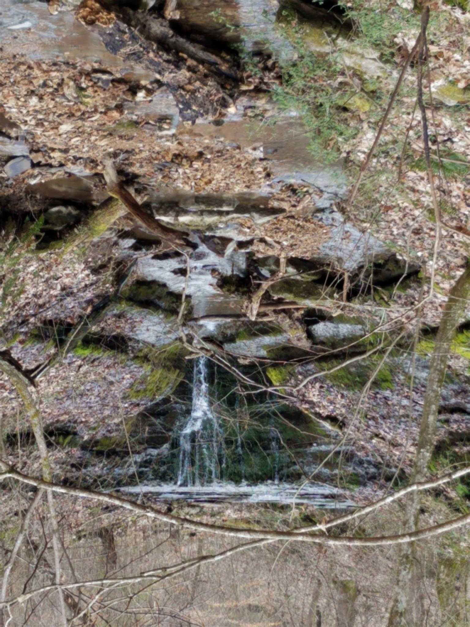 587 Damron Road Estill Springs, TN 37330 - Photo 2 of 30 Beautiful waterfall on the property!!