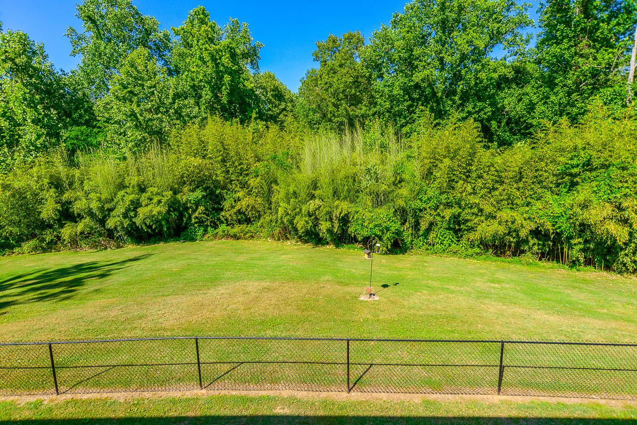 587 Damron Road Estill Springs, TN 37330 - Photo 22 of 30 Back yard.