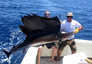 3217 Cove Road Jupiter, FL 33469 - Photo 28 of 61 sailfish