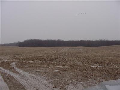 34910 Jerome Road North Adams, MI 49262 - Photo 4 of 4 Additional Photo