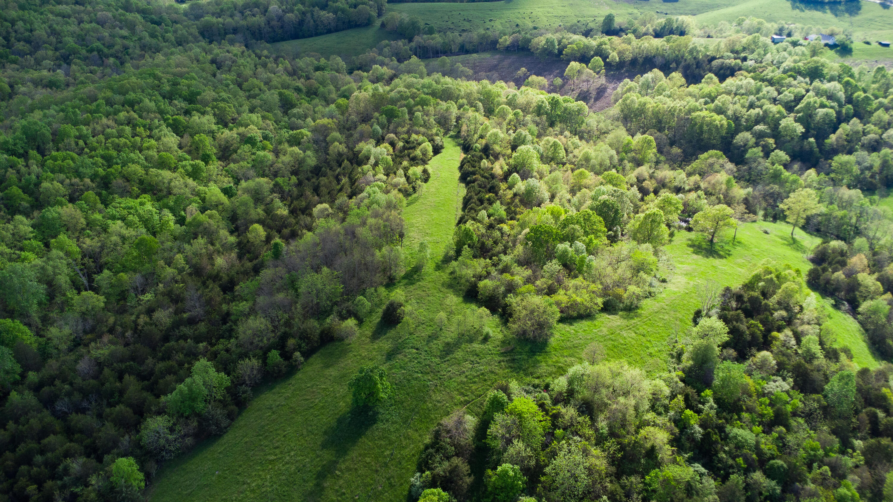 1120 Keefer Road Corinth, KY 41010 - Photo 43 of 49
