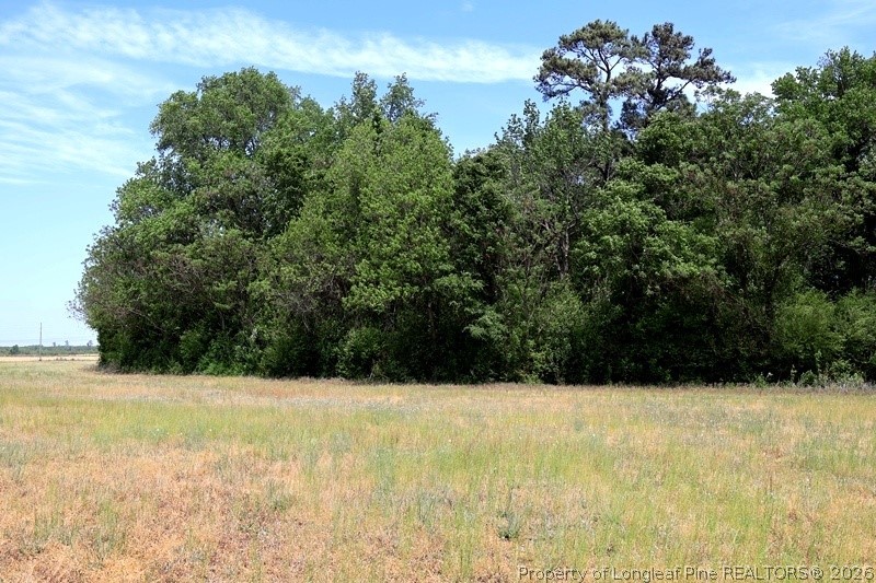 Tbd North Duffie Road Red Springs, NC 28377 - Photo 20 of 24