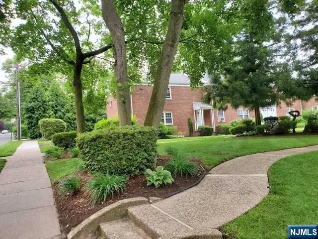 a view of a garden with plants and large trees
