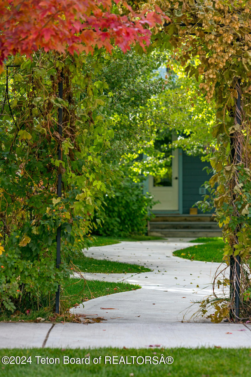 Lot 20 Old Jackson Highway Victor, ID 83455 - Photo 17 of 34 131008_msv_autumn_116