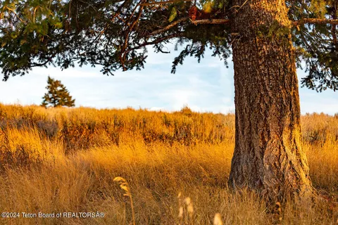 $167,500 | Lot 20 Old Jackson Highway, Victor, ID 83455