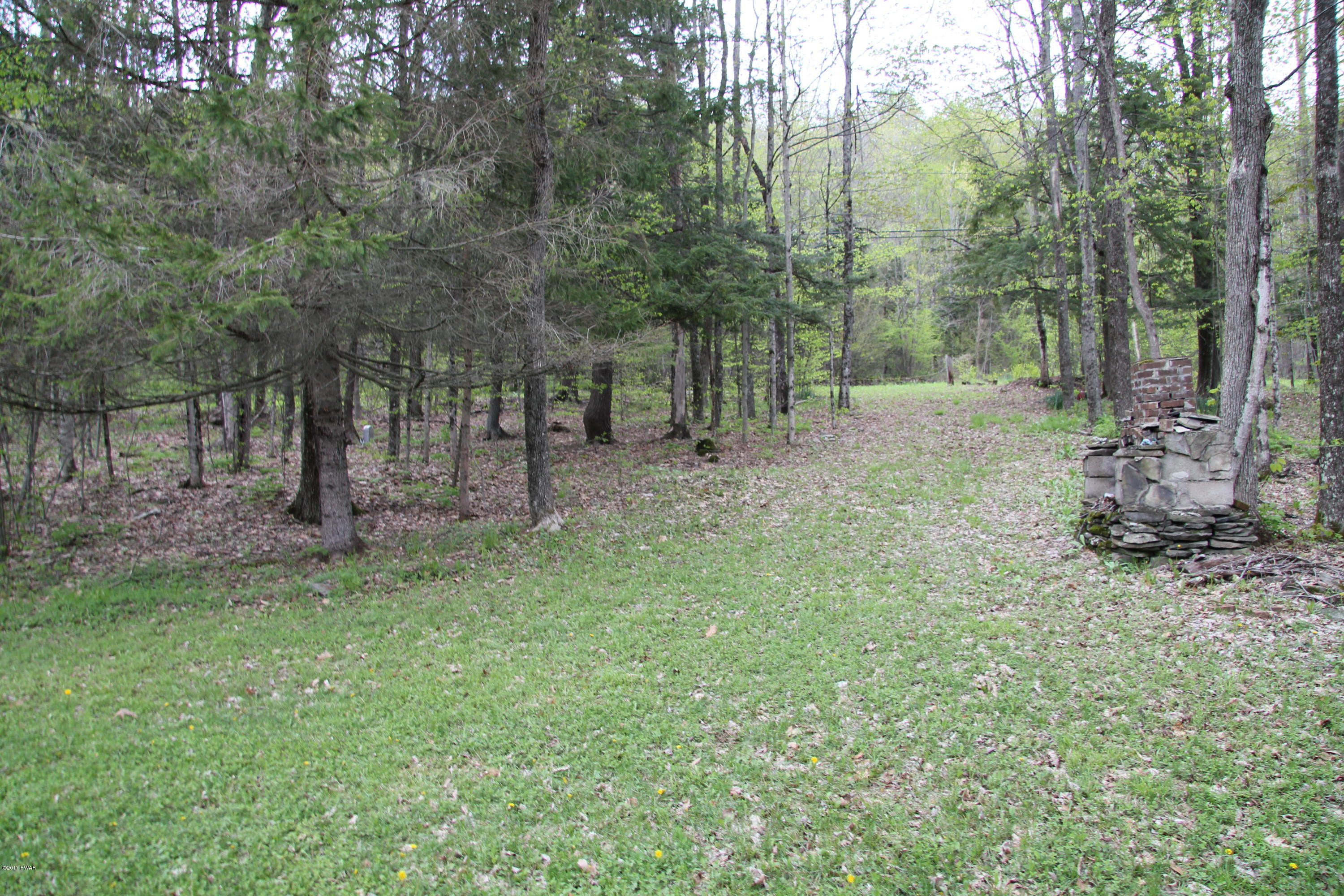 480 Wallerville Road Equinunk, PA 18417 - Photo 11 of 12