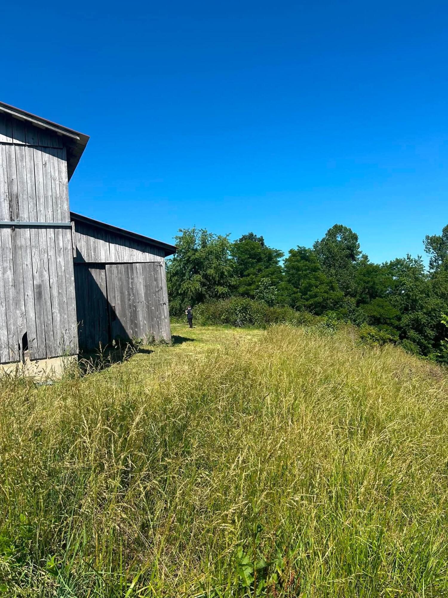 440 Randolph Road Olive Hill, KY 41164 - Photo 32 of 37 b590574a3f7487f762779d8d4f17a507