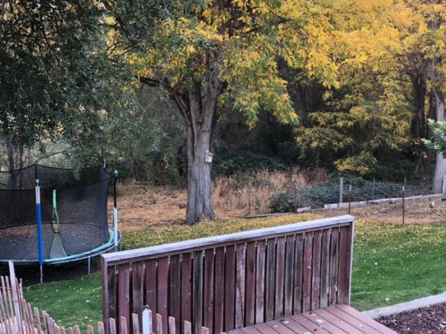 225 South Fork Road Dayville, OR 97825 - Photo 22 of 23 IMG_3676
