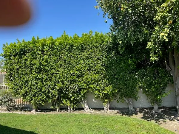 $3,200 | 43852 VÃa Palma, Palm Desert, CA 92211