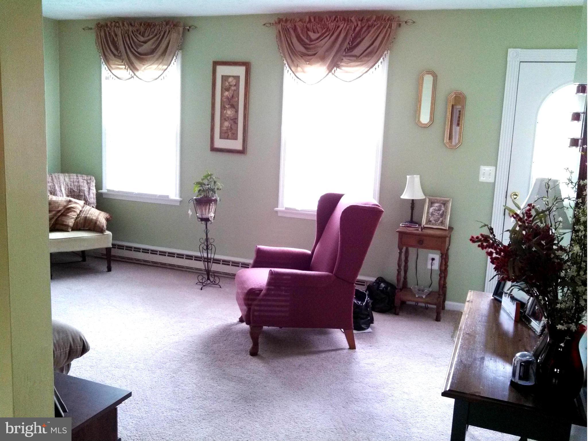 223 Brunswick Road Stephens City, VA 22655 - Photo 2 of 13 Spacious and bright