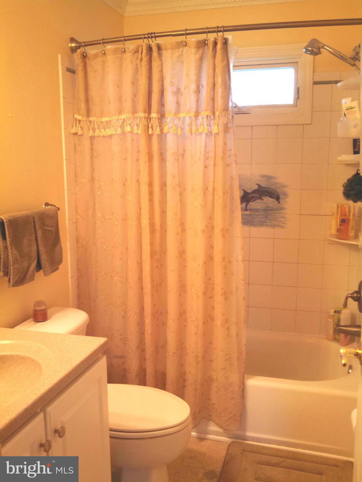 223 Brunswick Road Stephens City, VA 22655 - Photo 12 of 13 Upper level full bath