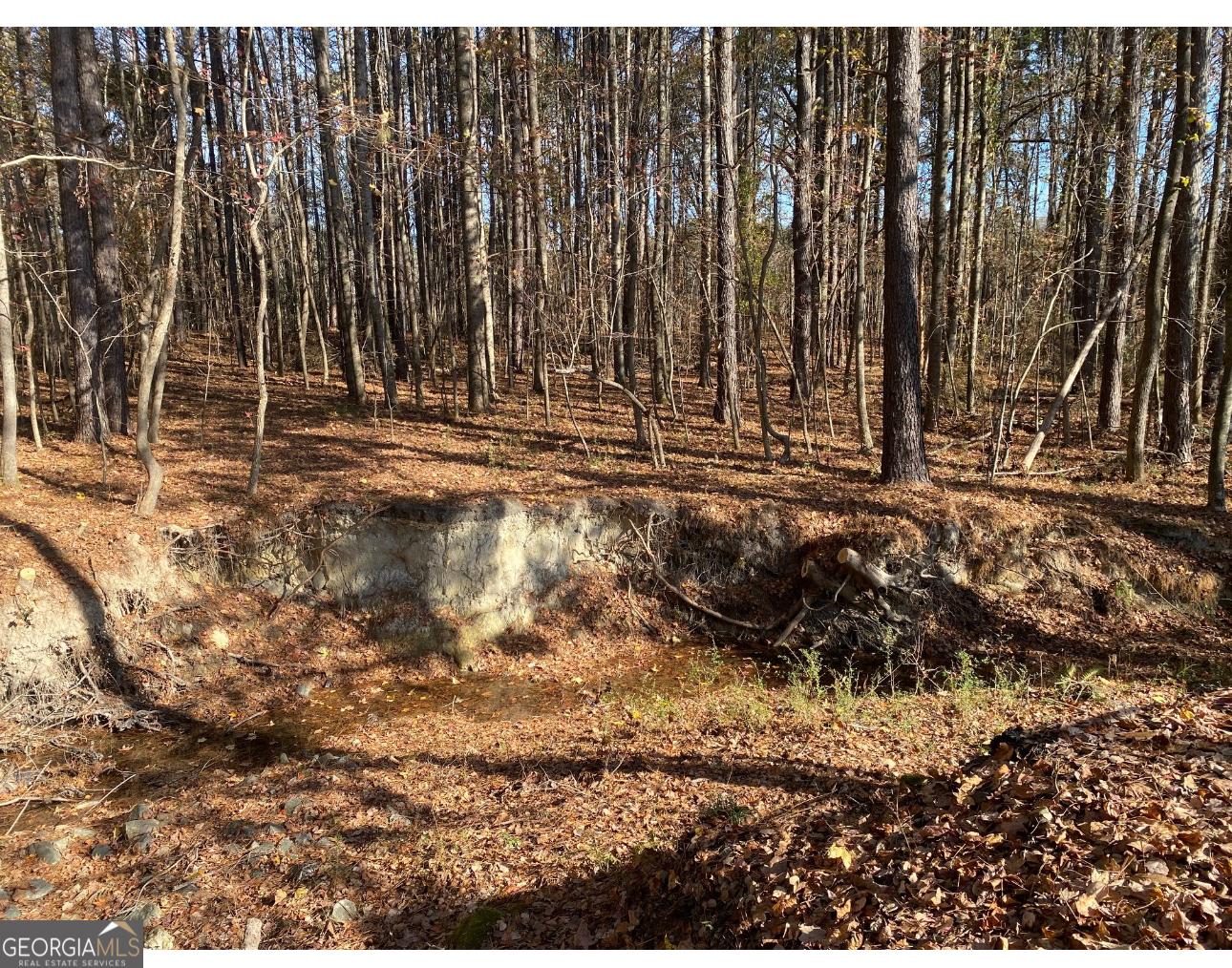 0 Buffington Road, Unit REAR Atlanta, GA 30349 - Photo 22 of 22