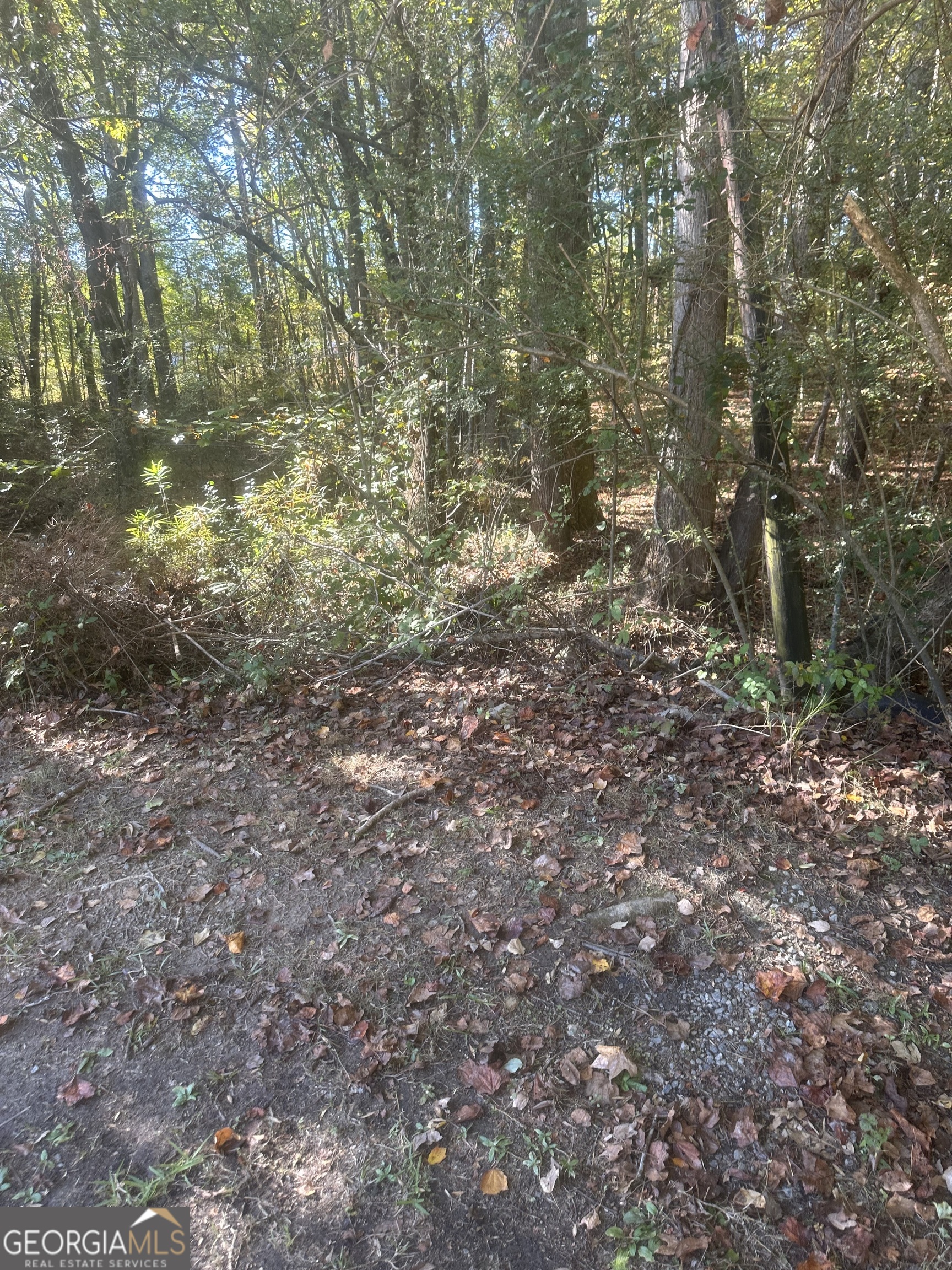 0 Buffington Road, Unit REAR Atlanta, GA 30349 - Photo 4 of 22