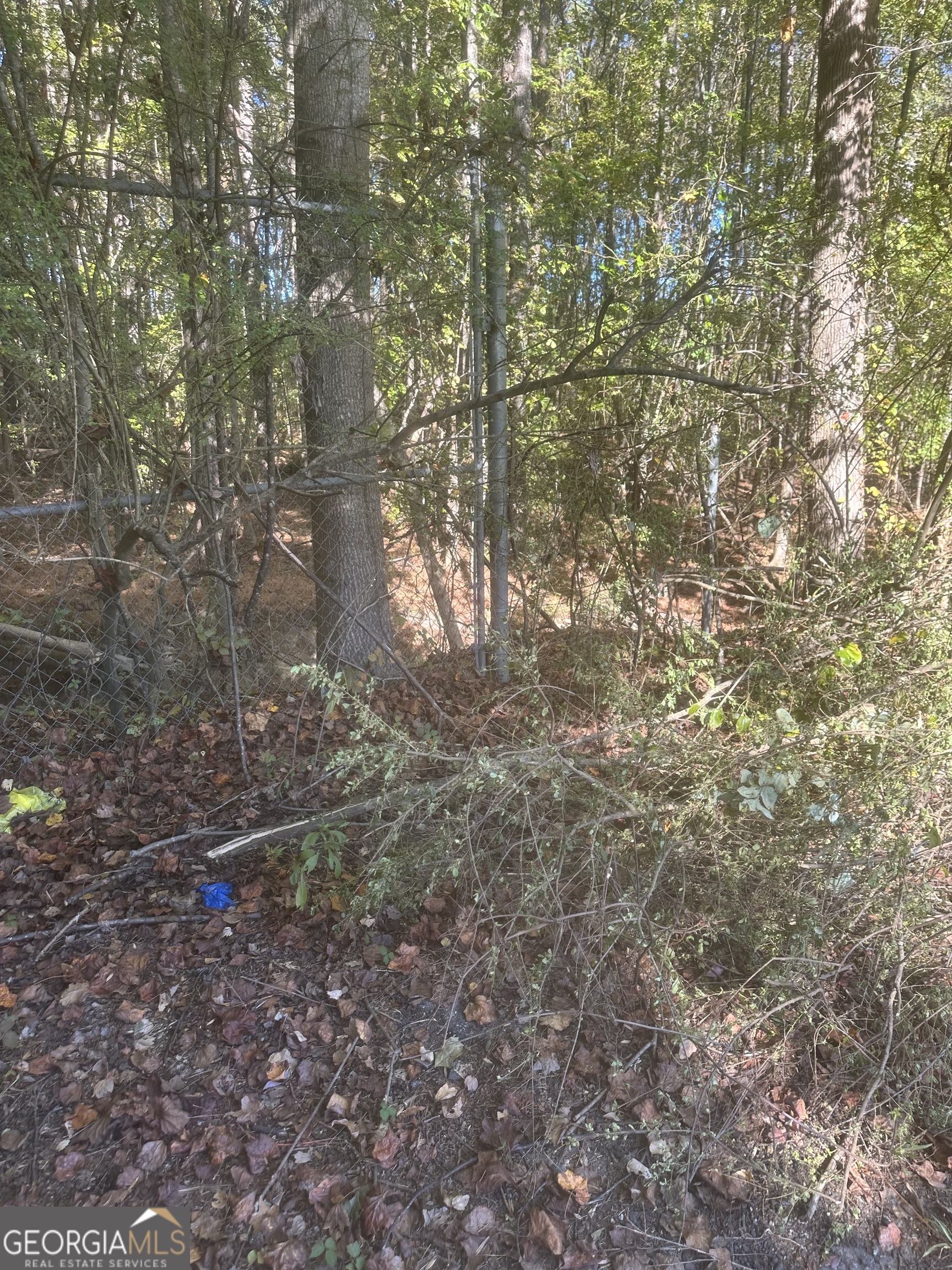 0 Buffington Road, Unit REAR Atlanta, GA 30349 - Photo 6 of 22