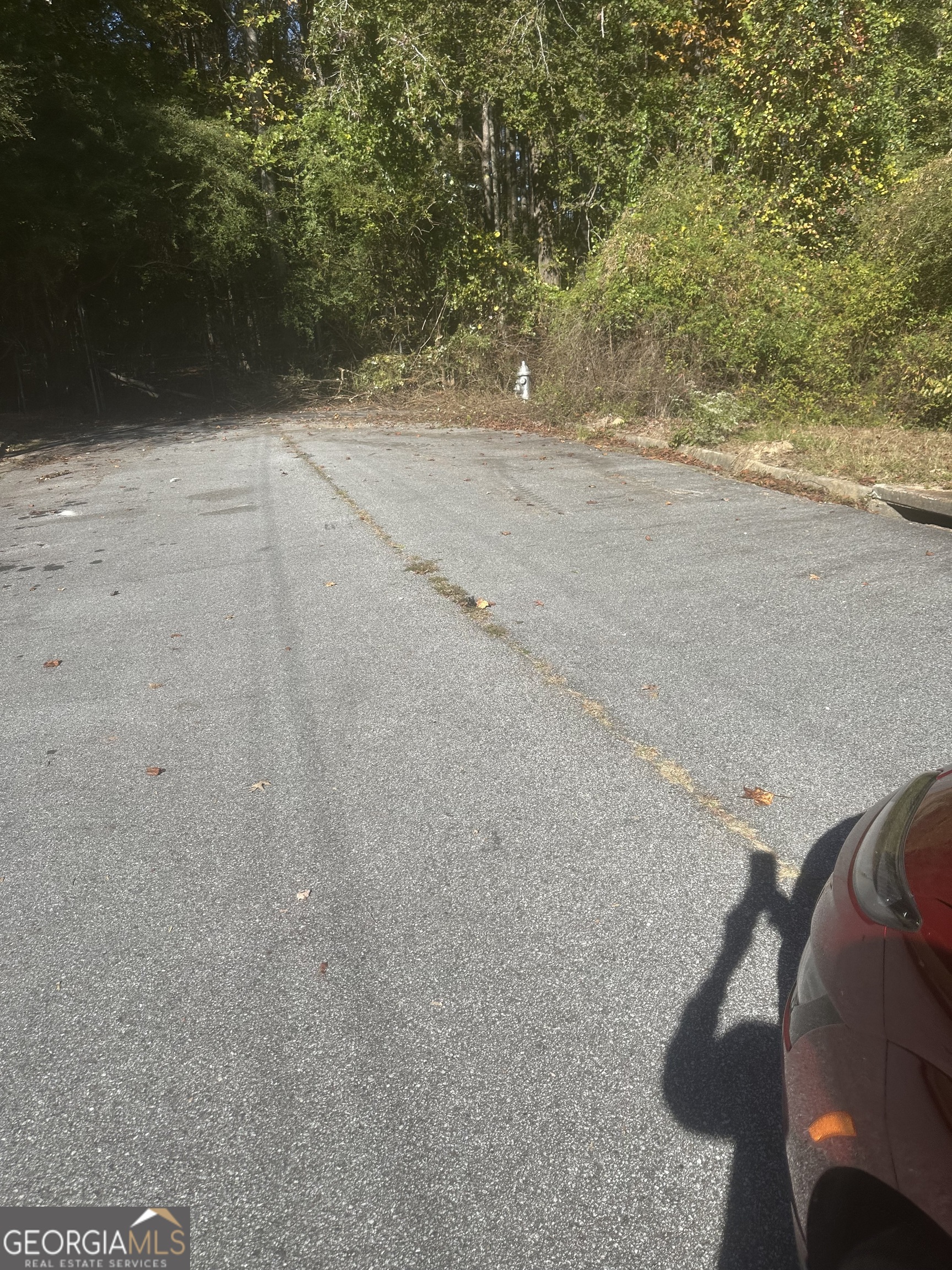 0 Buffington Road, Unit REAR Atlanta, GA 30349 - Photo 9 of 22