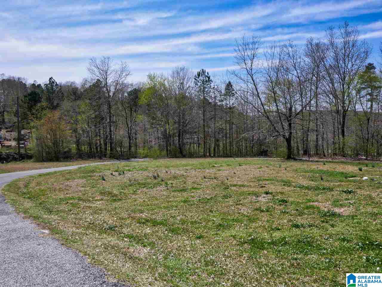 4306 Mudd Street Lincoln, AL 35096 - Photo 33 of 39