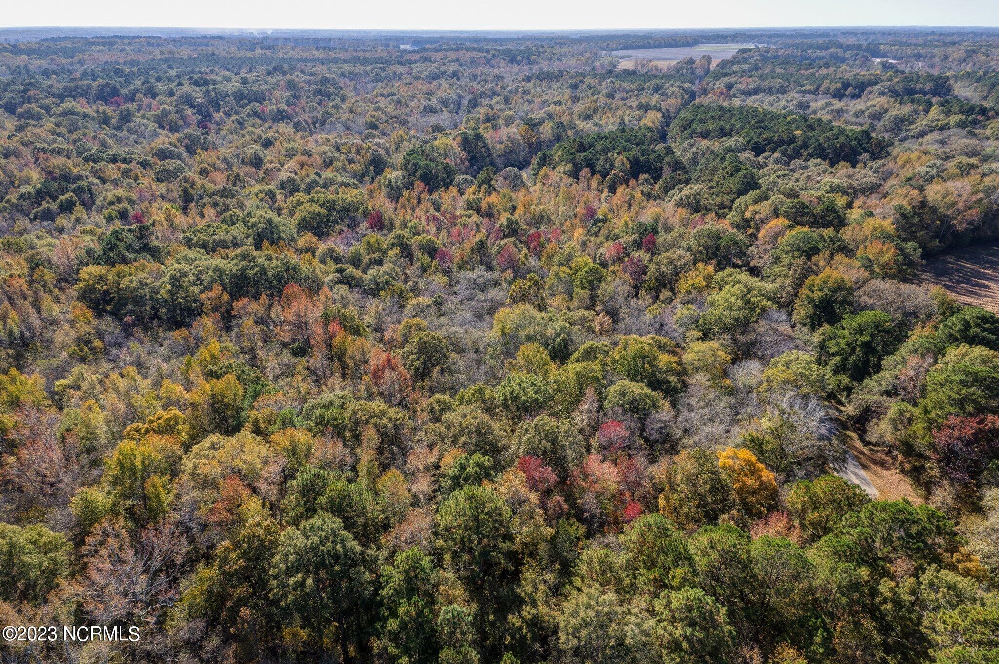0 Evansdale Road Wilson, NC 27893 - Photo 2 of 20 002-EvansdaleRdDrone-NC-SMALL