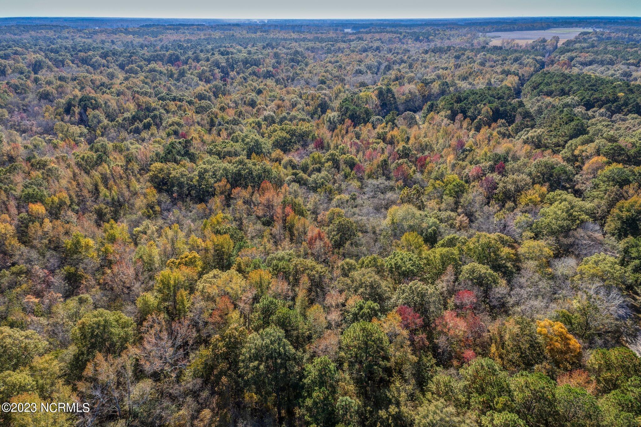 0 Evansdale Road Wilson, NC 27893 - Photo 3 of 20 003-EvansdaleRdDrone-NC-SMALL