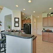 9604 Spencer Woods Road Ladson, SC 29456 - Photo 37 of 60 20