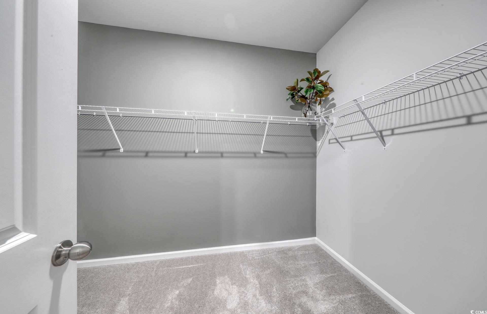 3090 Visionary Drive Myrtle Beach, SC 29588 - Photo 15 of 28 Walk in closet with light carpet