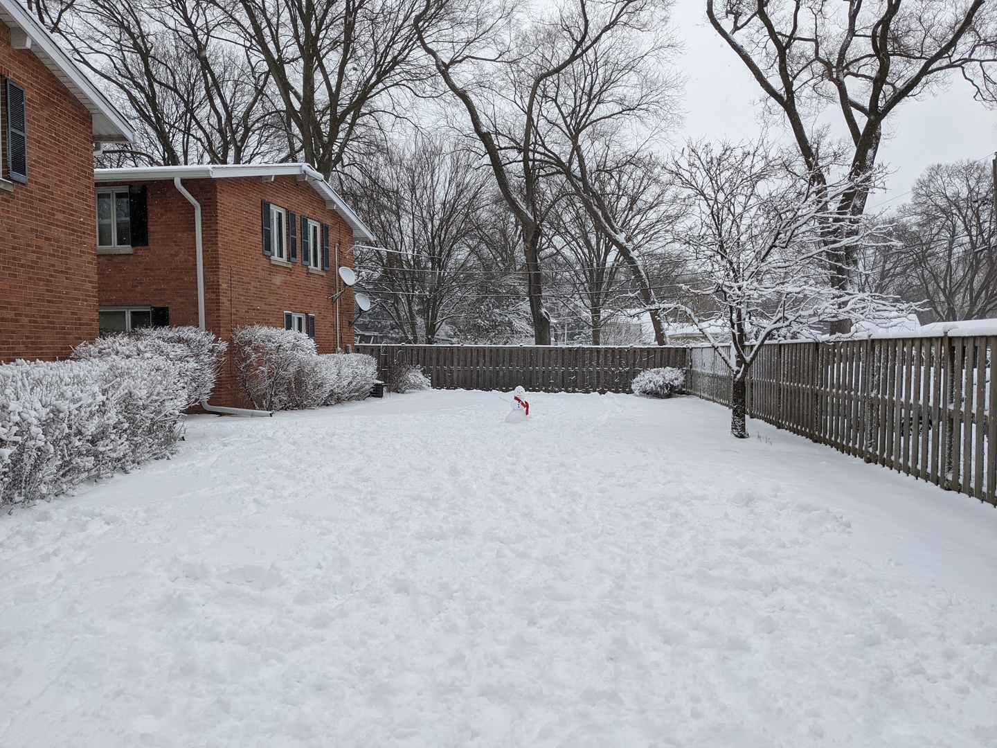 1908 Colfax Street Evanston, IL 60201 - Photo 18 of 19