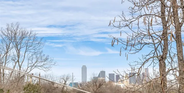 a view of a yard with large trees