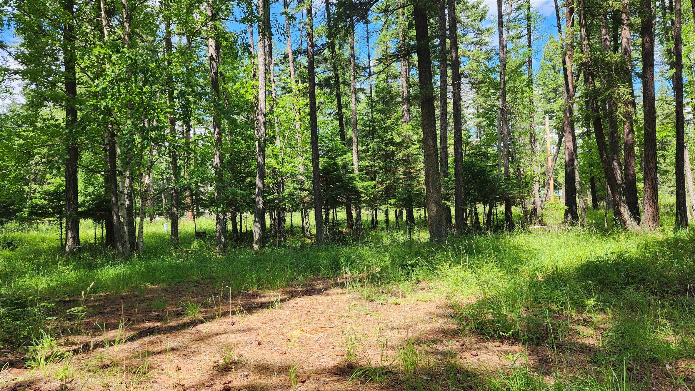 12430 Rippling Waters Road Bigfork, MT 59911 - Photo 26 of 31 Gallery Image 26