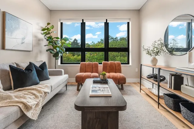 a living room with furniture and a potted plant